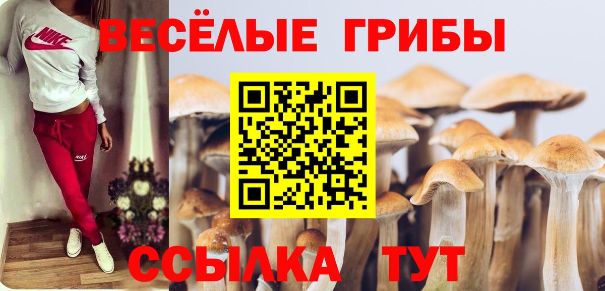 Псилоцибиновые грибы мухоморы  Псилоцибиновые грибы прущие грибы  Зерноград  Вход с VPN 